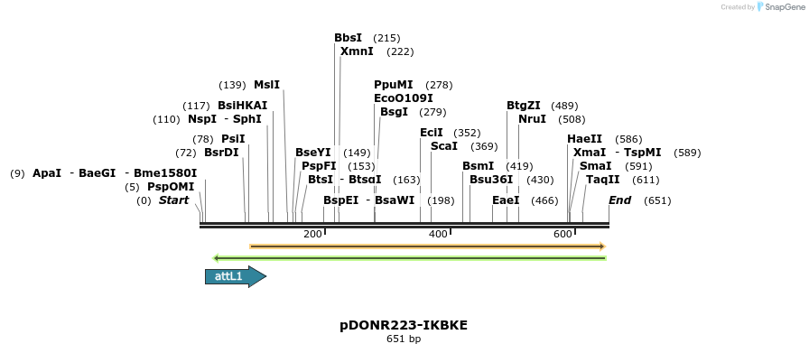 29272_map