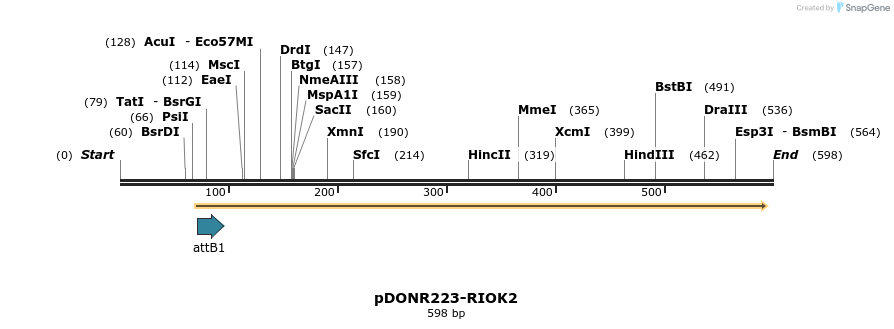 29273_map