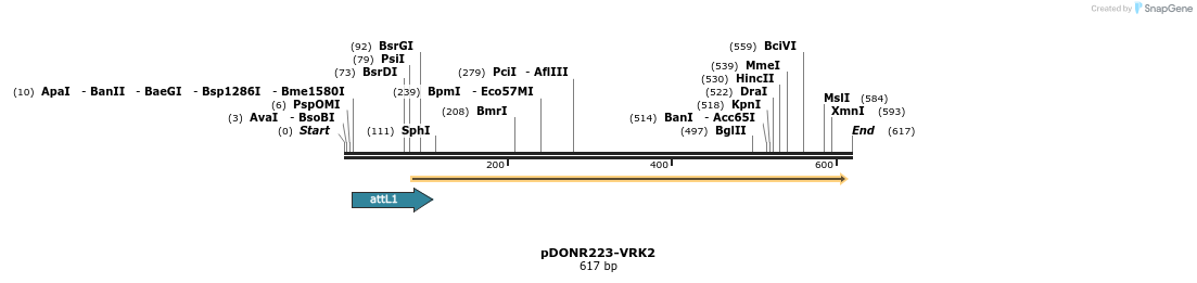 29274_map