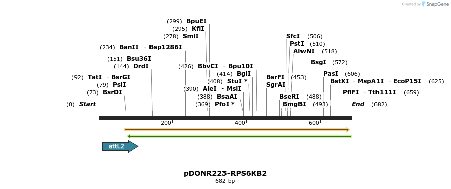 29275_map