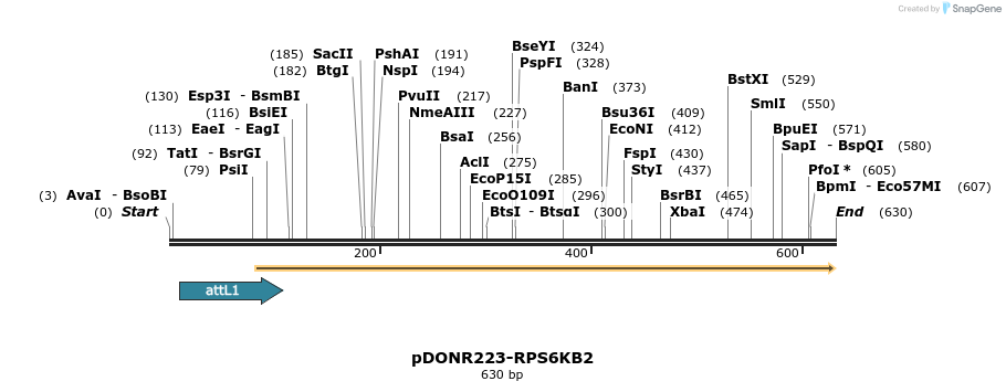 29276_map