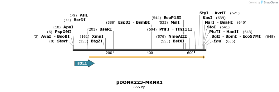 29278_map