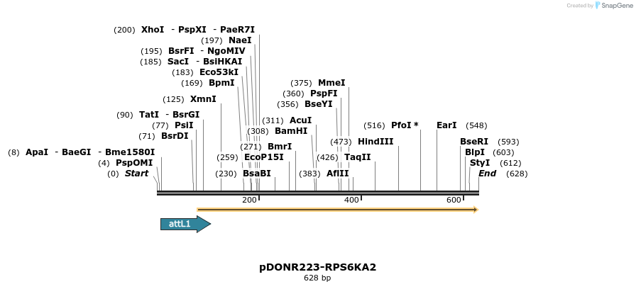 29279_map