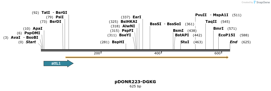 29280_map