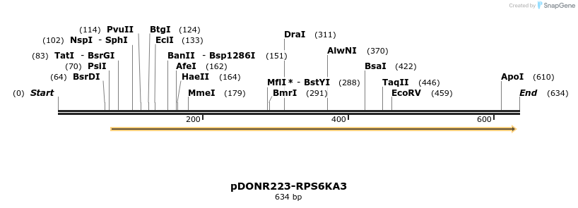29281_map