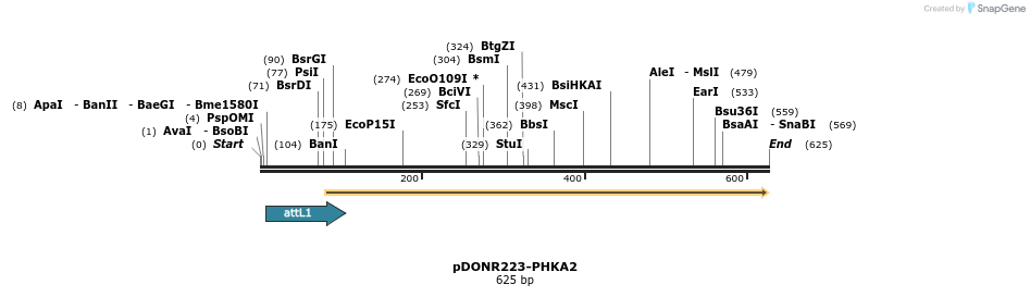 29282_map