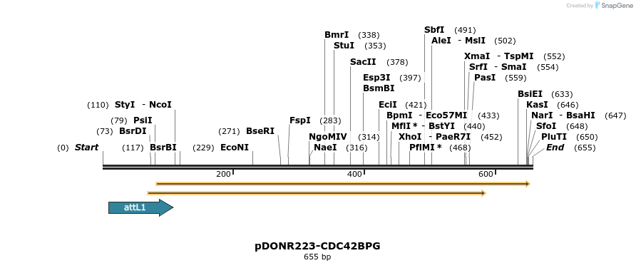 29283_map