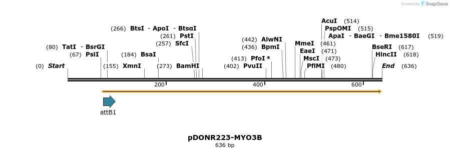 29284_map