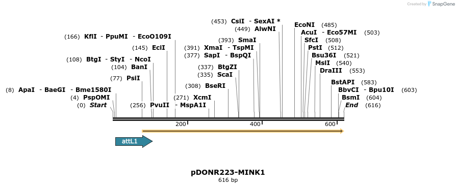 29286_map