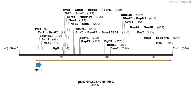 29287_map