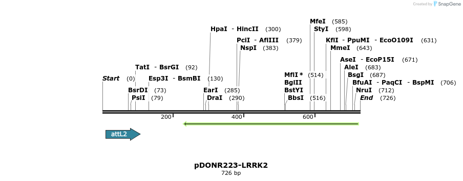 29288_map