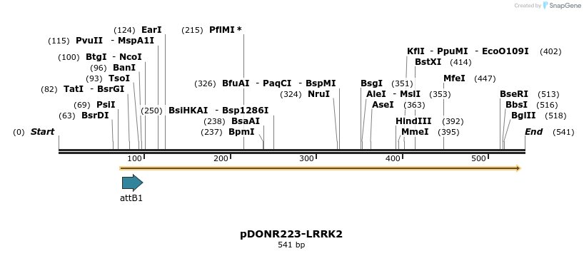 29289_map