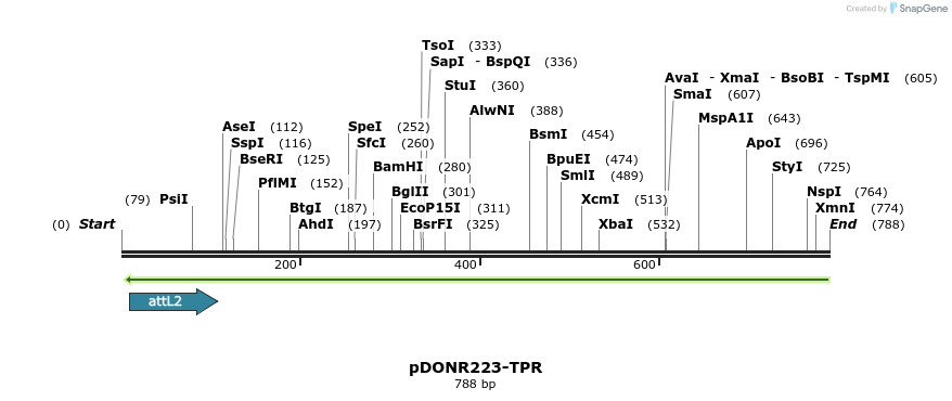 29290_map