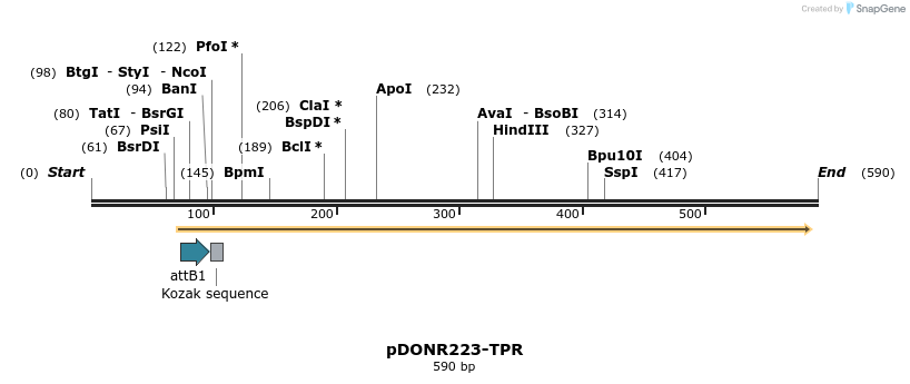 29291_map