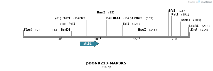 29293_map