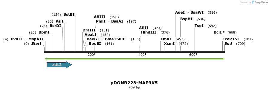29294_map