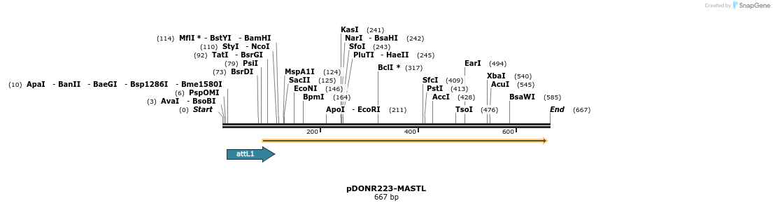 29295_map