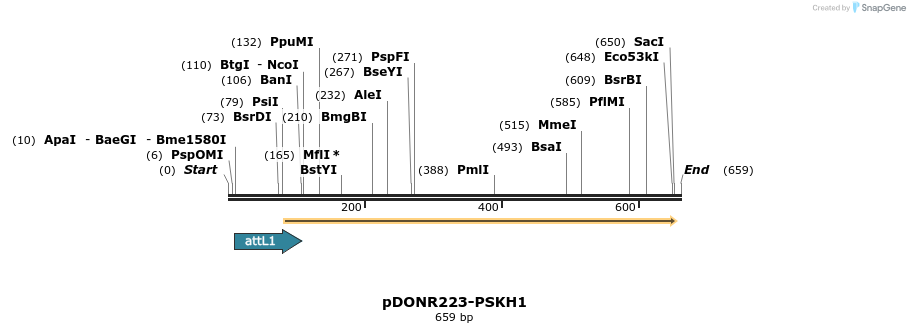 29296_map