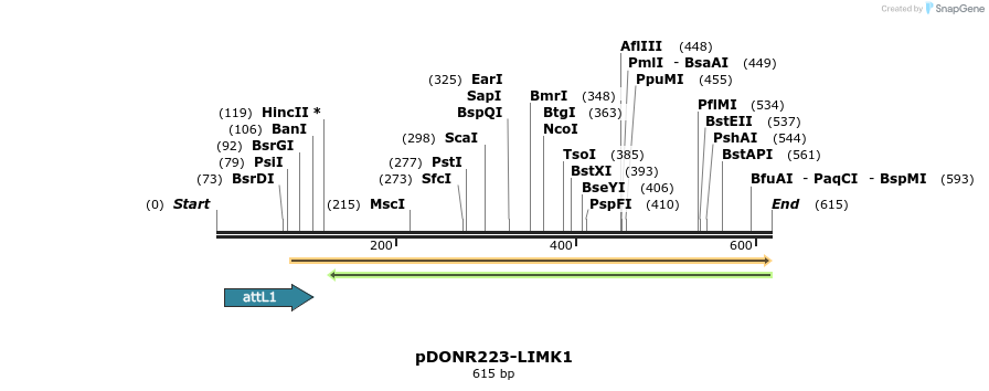 29298_map