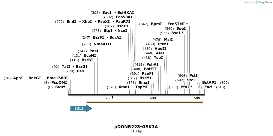 29299_map