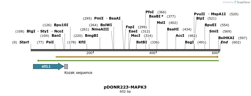 29300_map