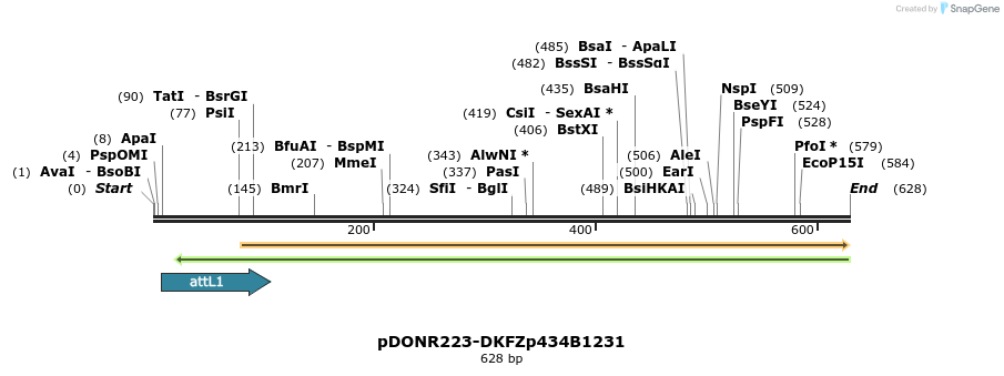 29301_map