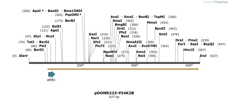 29302_map