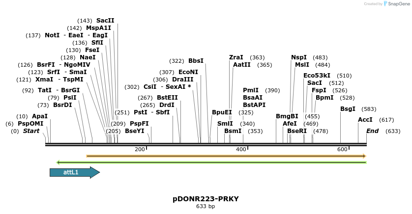 29303_map