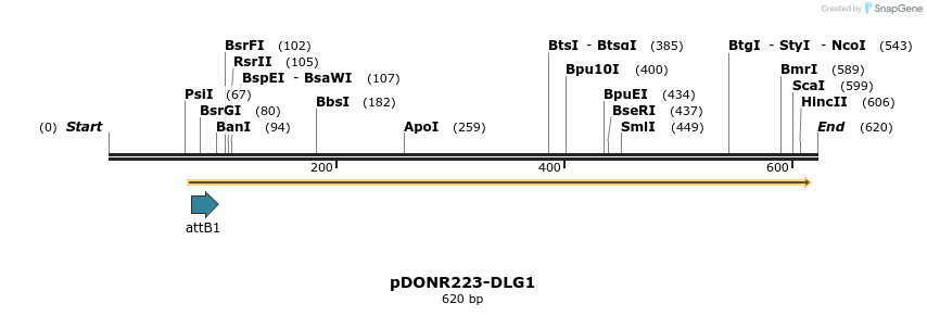 29304_map