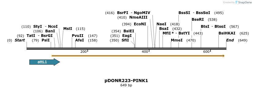 29305_map