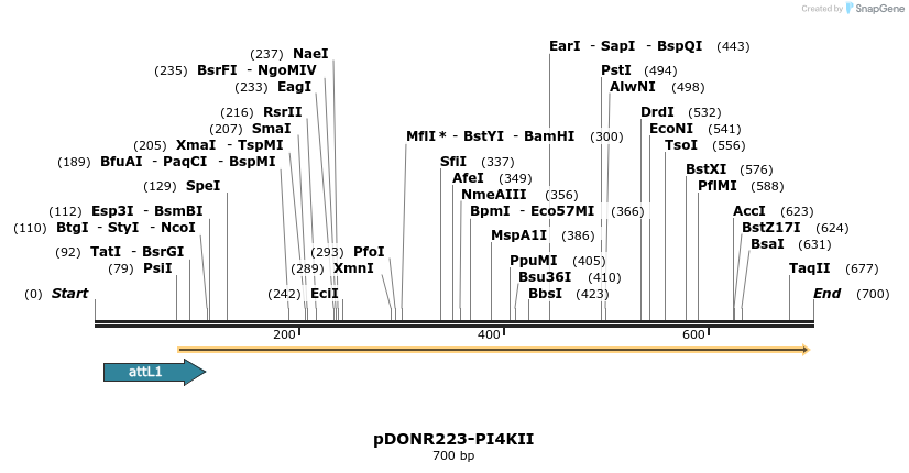 29306_map