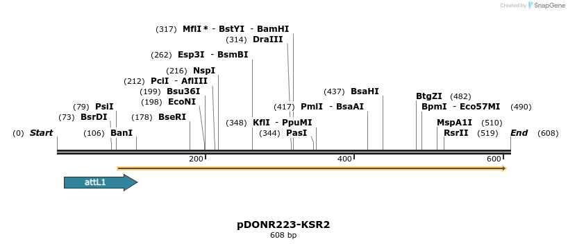 29308_map