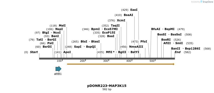 29310_map