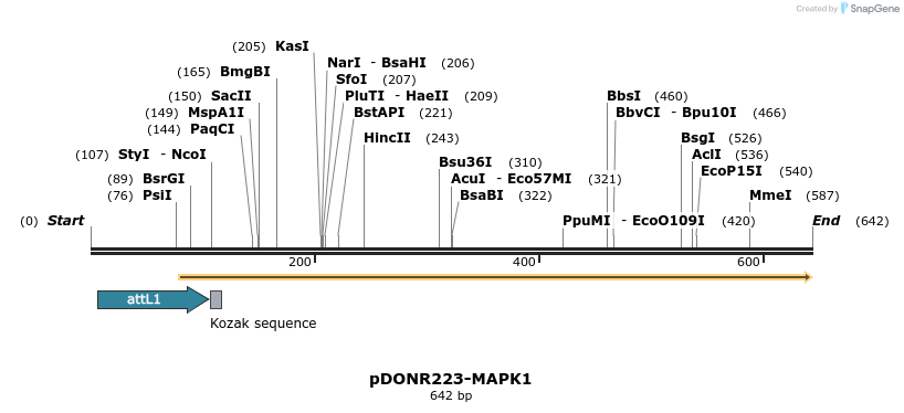 29311_map