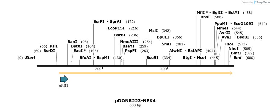 29312_map