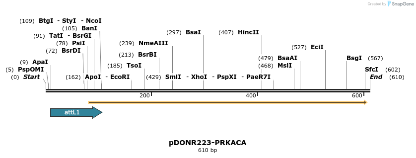 29314_map