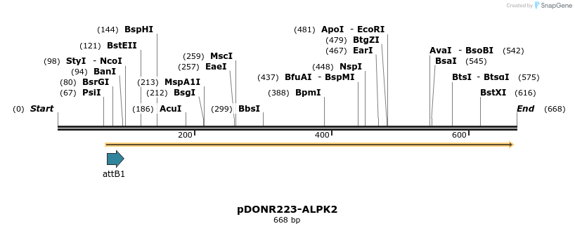 29316_map