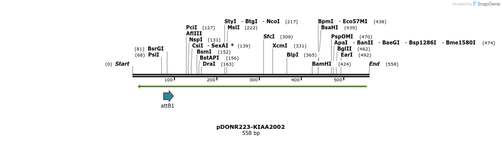 29317_map