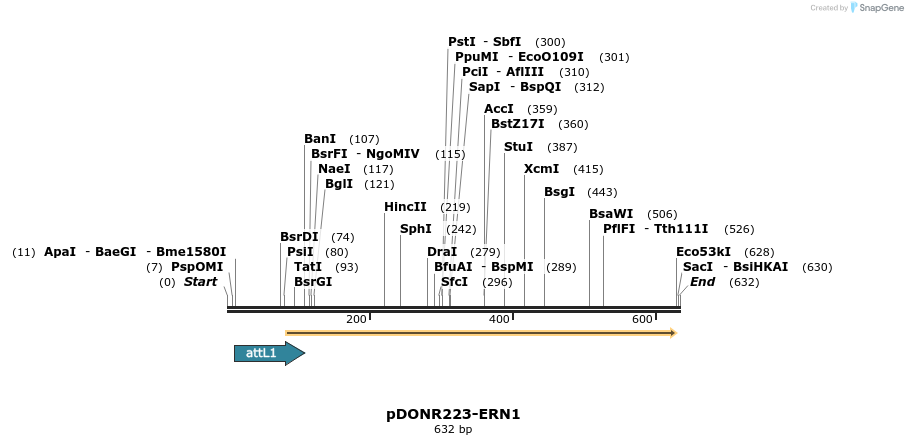 29318_map