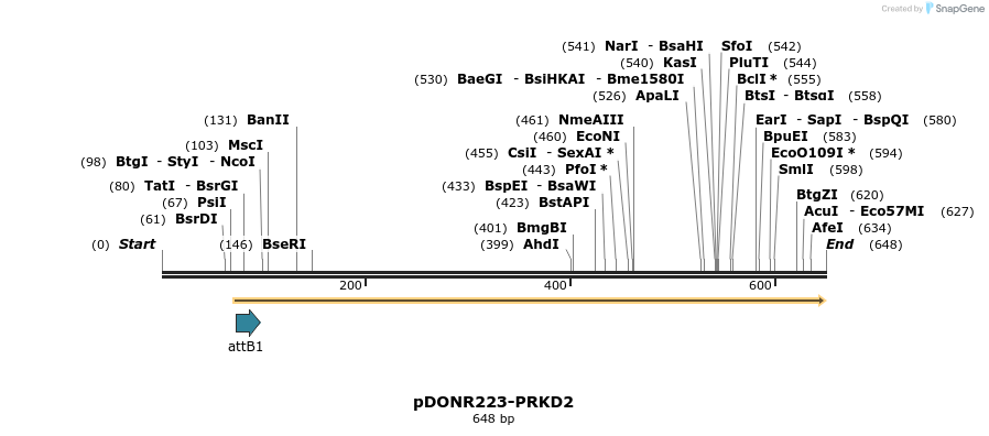 29319_map