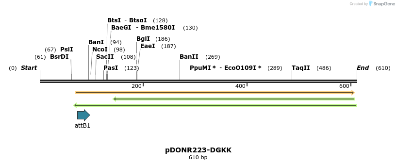 29321_map
