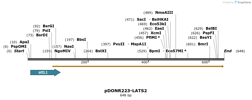 29324_map