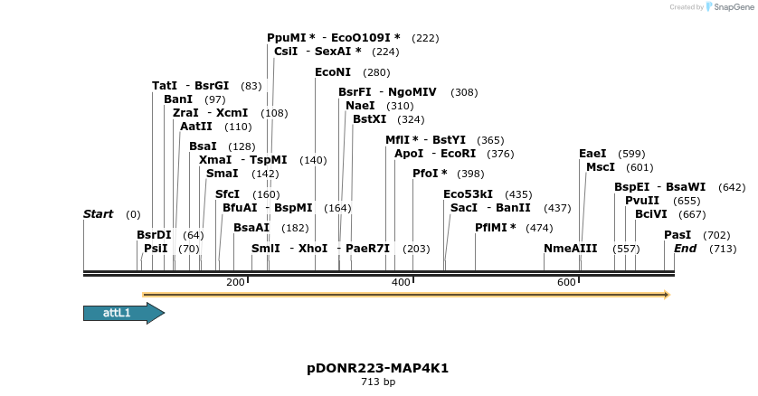 29325_map