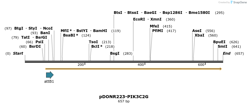 29327_map