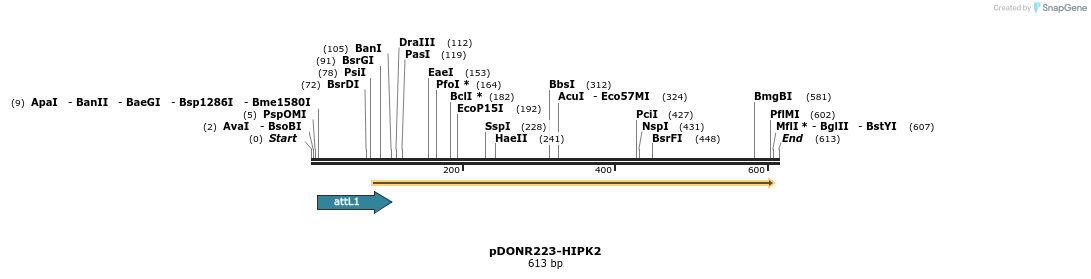 29329_map