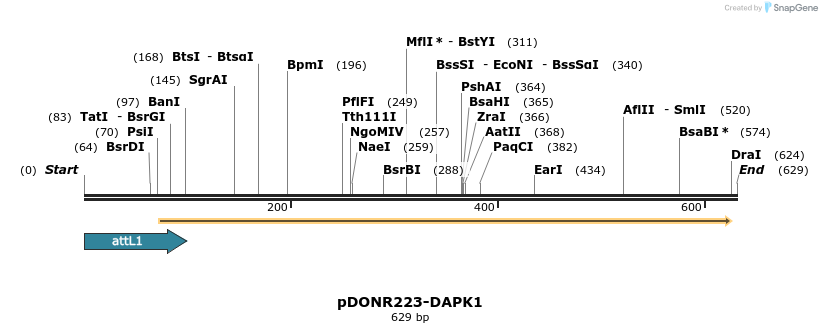 29330_map