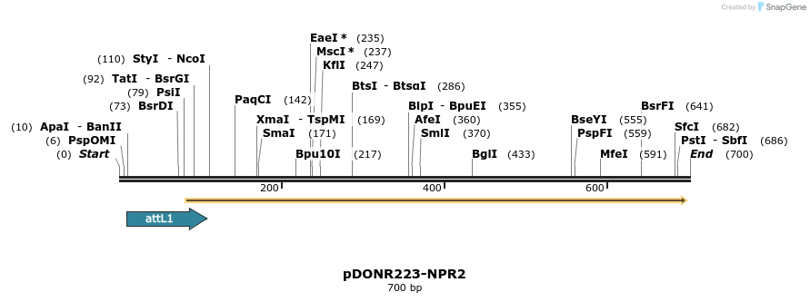 29331_map