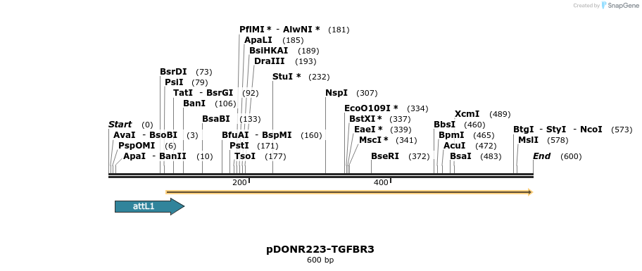 29332_map