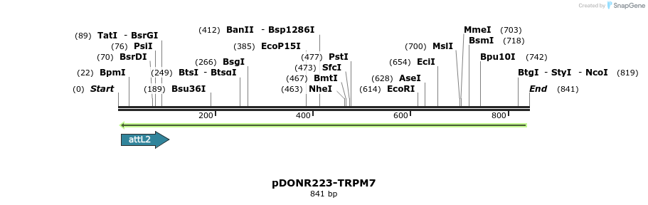 29334_map