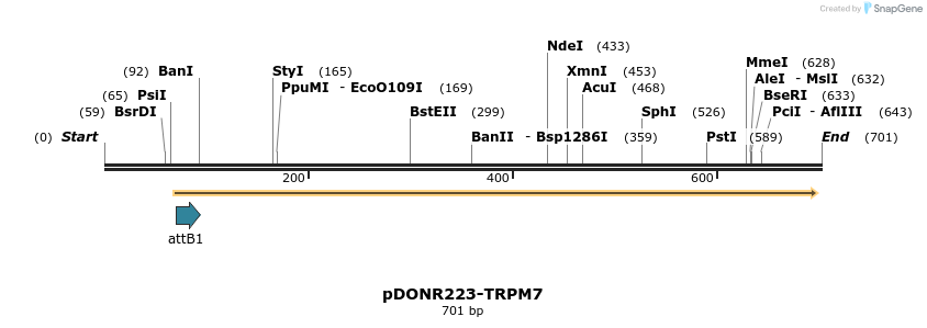 29335_map
